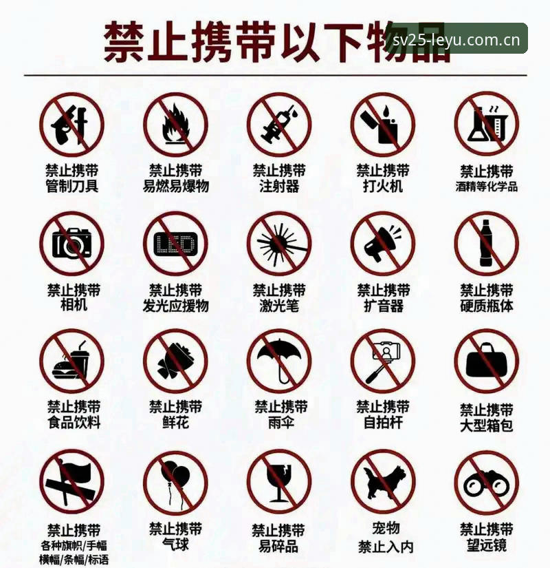 乐鱼体育SV25版下载前必查：3个常见错误与5步避坑指南
